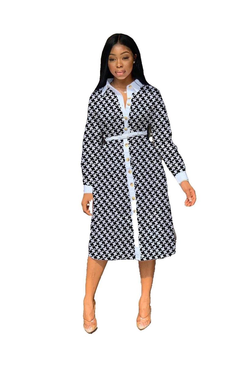 Fall Women's Plover Print Dress