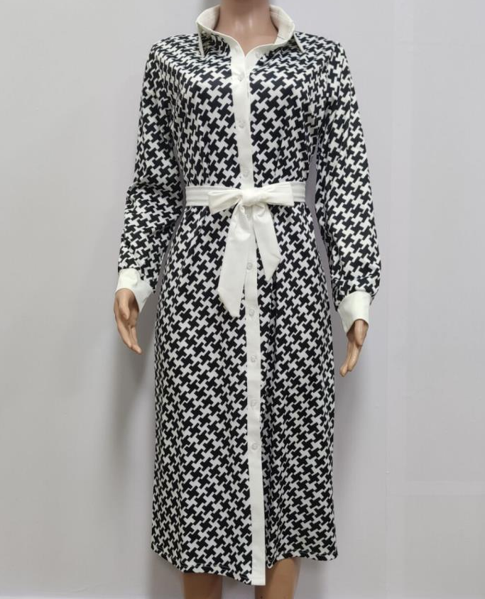 Fall Women's Plover Print Dress